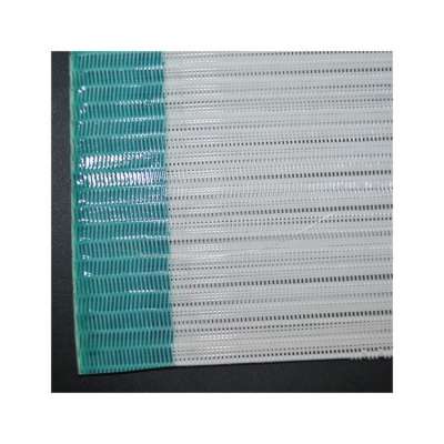 Large Loop Polyester Spiral Press Filter Mesh Belt